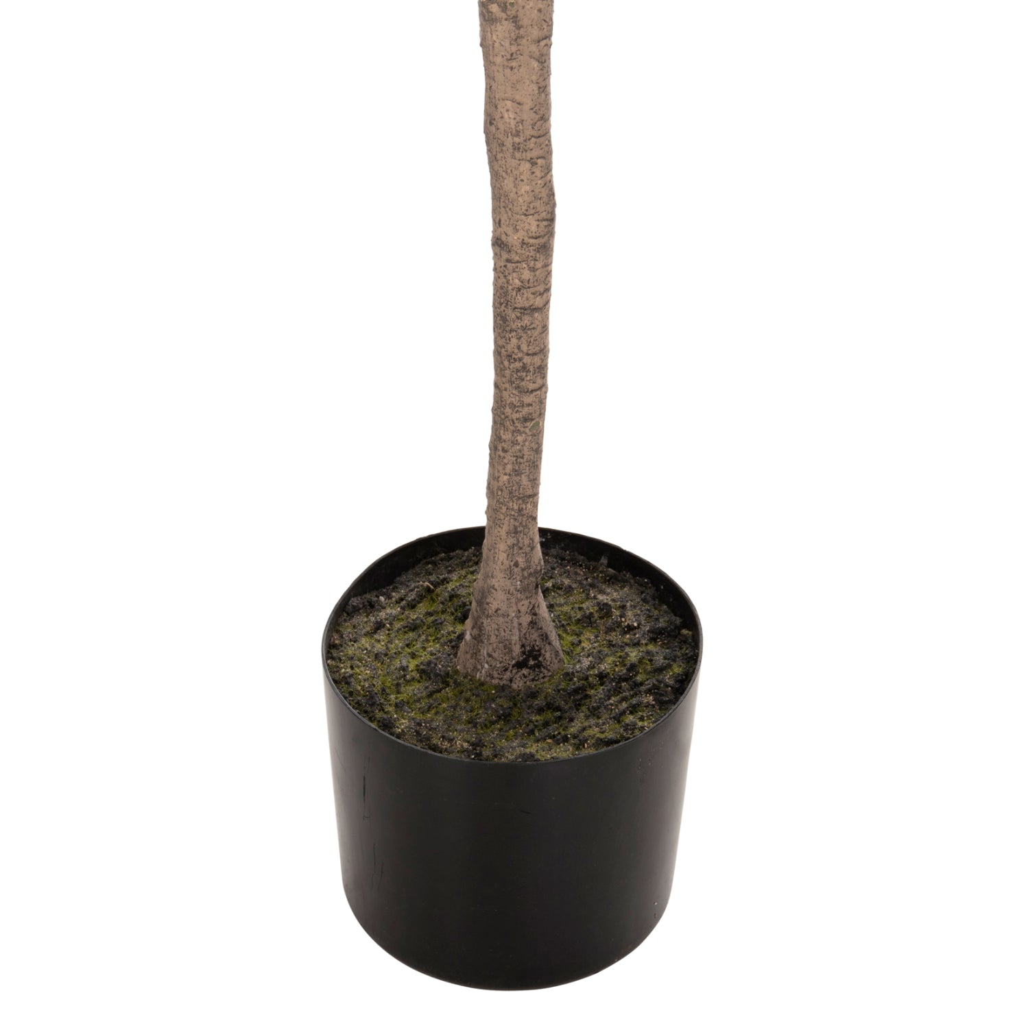 Растение дърво в саксия КГ7970 зелен цвят 190см