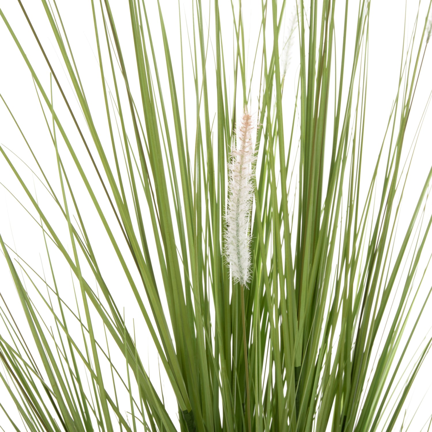 Растение трева в саксия зелен цвят 173см