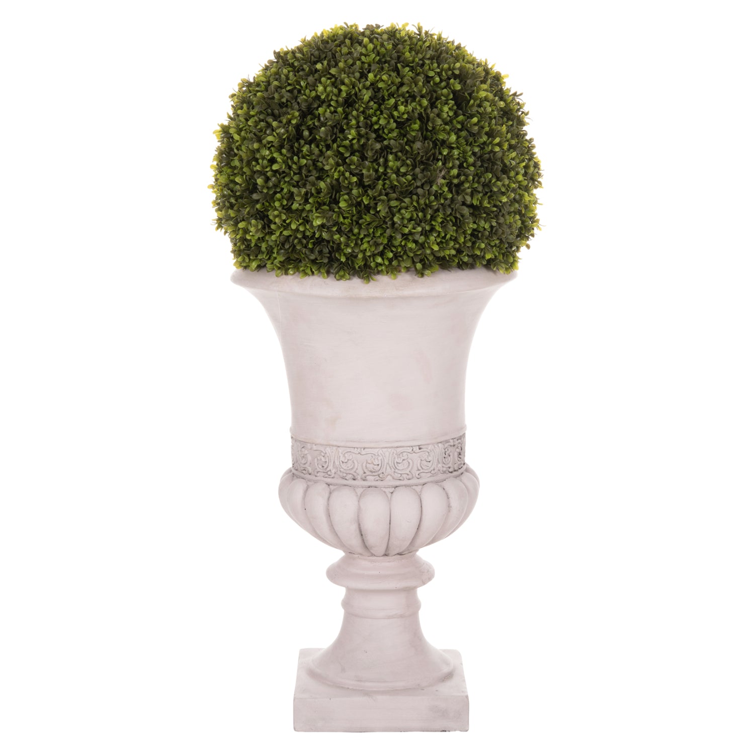 Растение чимшир зелен цвят в амфора 82см