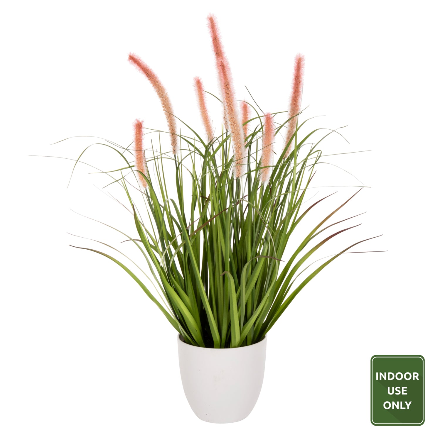 Растение трева в саксия цвят зелен-розов Φ14,5x13-62
