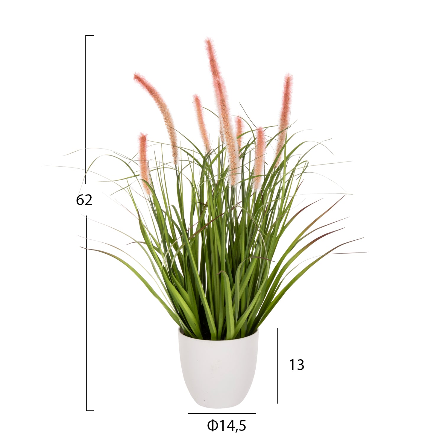 Растение трева в саксия цвят зелен-розов Φ14,5x13-62