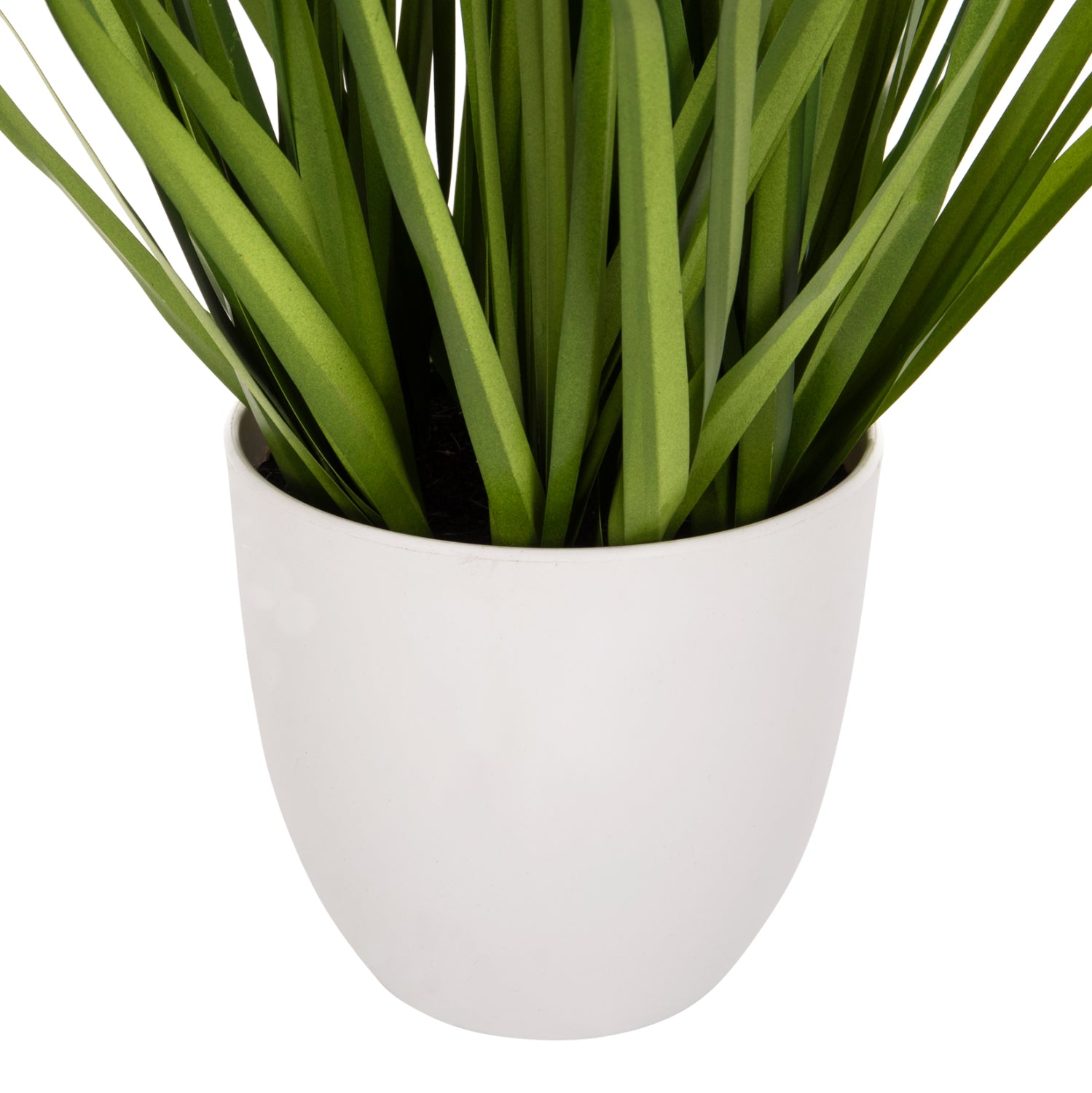 Растение трева в саксия цвят зелен-розов Φ14,5x13-62