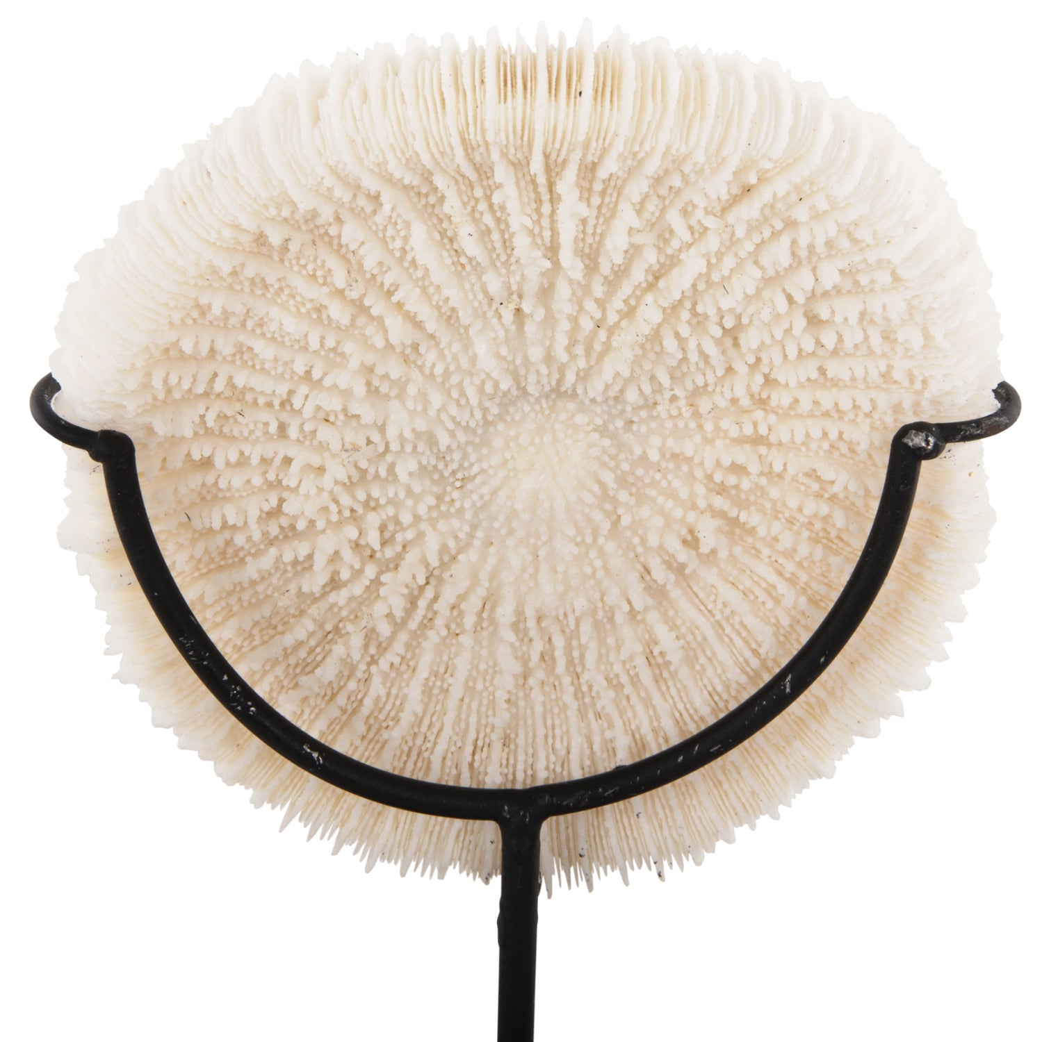 Декорация за маса корал 8x8x16