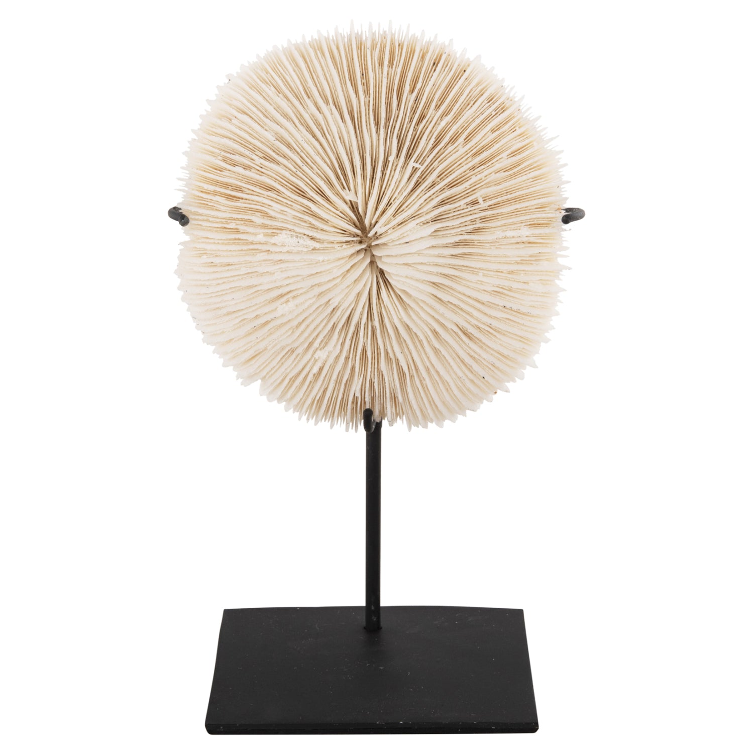 Декорация за маса корал 8x8x16