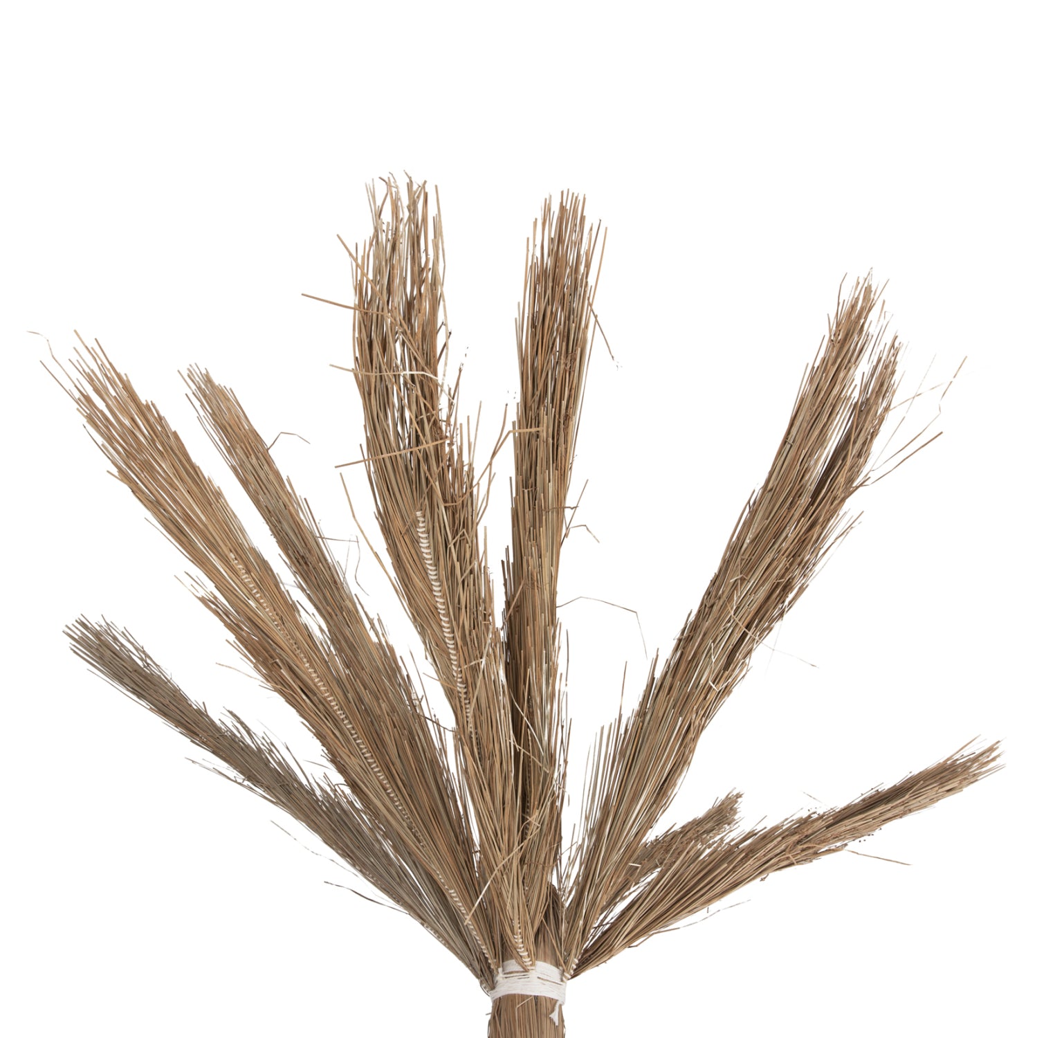 Декоративно тропическо дърво палма /мендонг трева 360 см