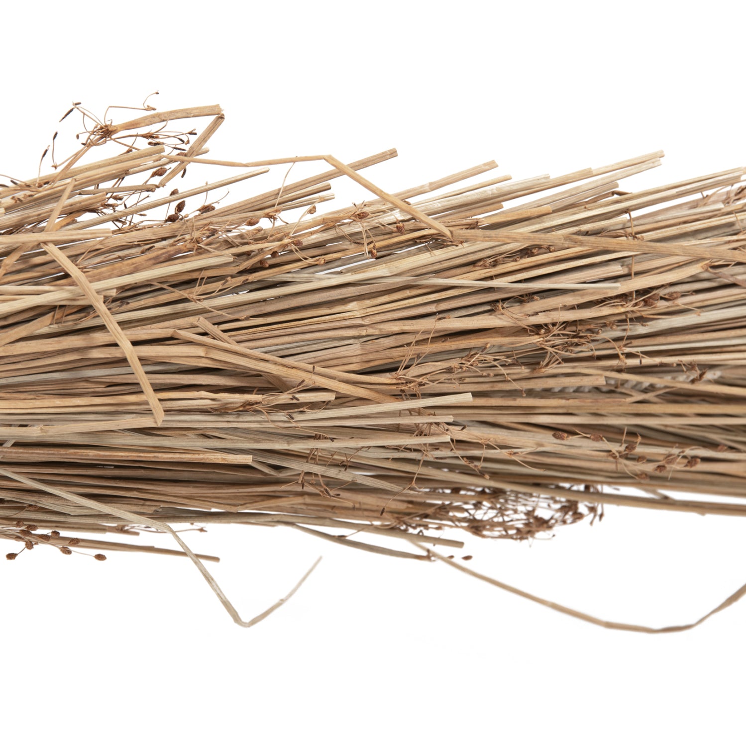 Декоративно тропическо дърво палма /мендонг трева 360 см