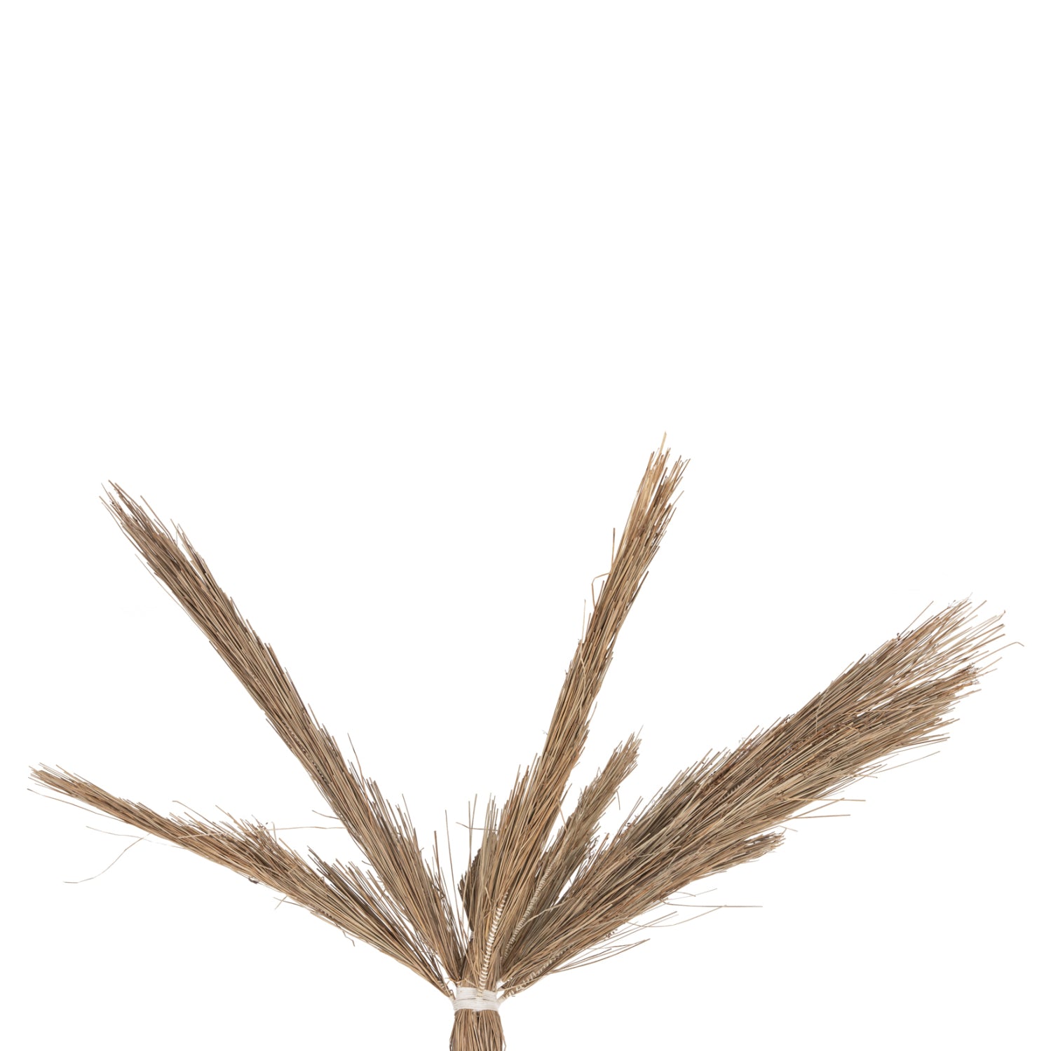 Декоративно тропическо дърво палма /мендонг трева 310 см