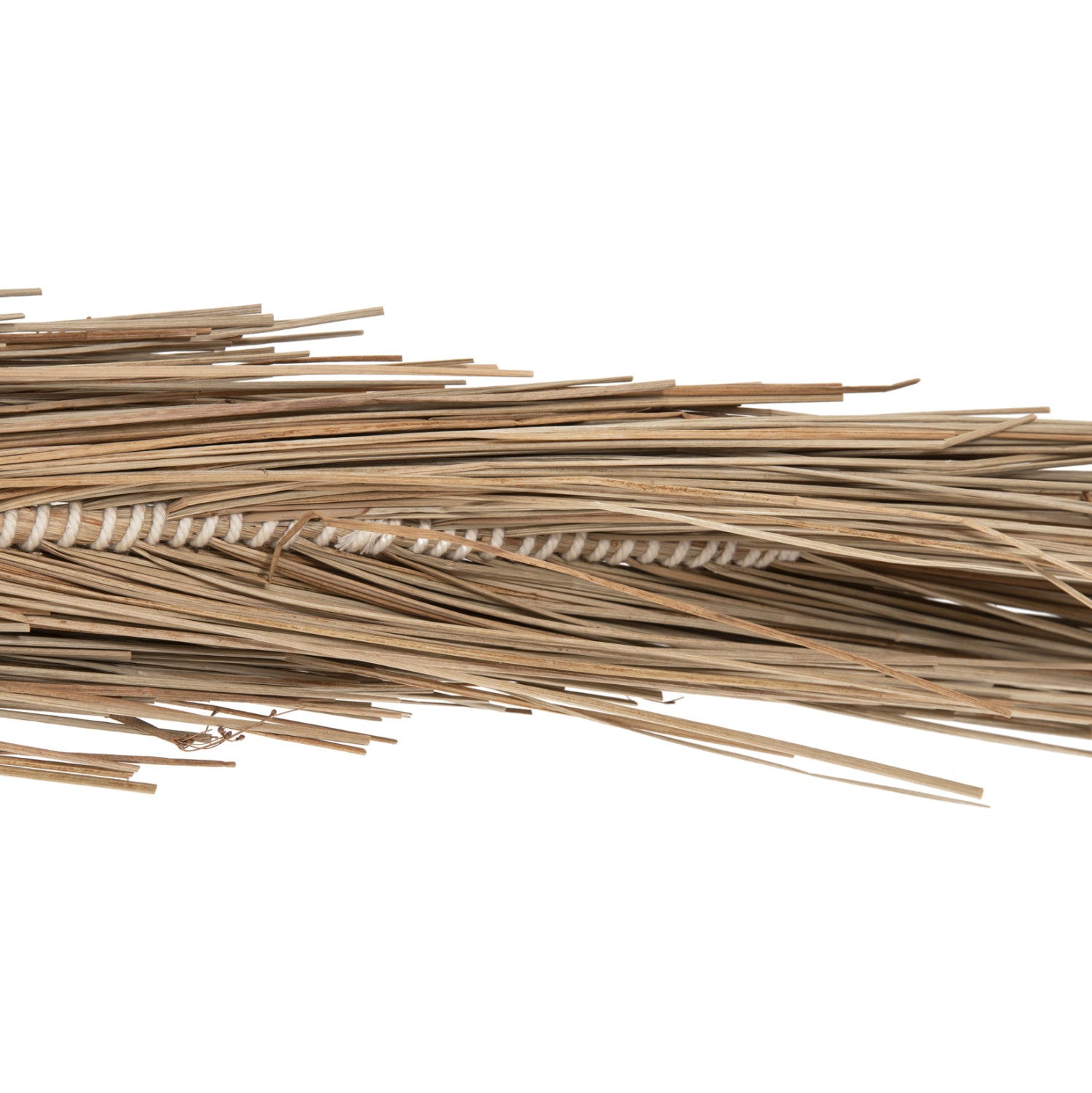 Декоративно тропическо дърво палма /мендонг трева 310 см