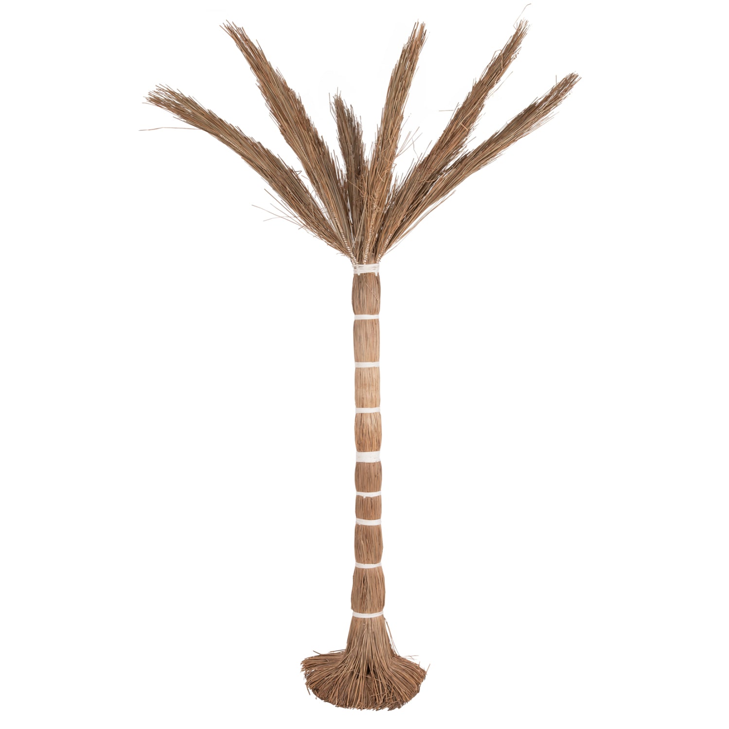 Декоративно тропическо палма дърво /мендонг трева 280 см