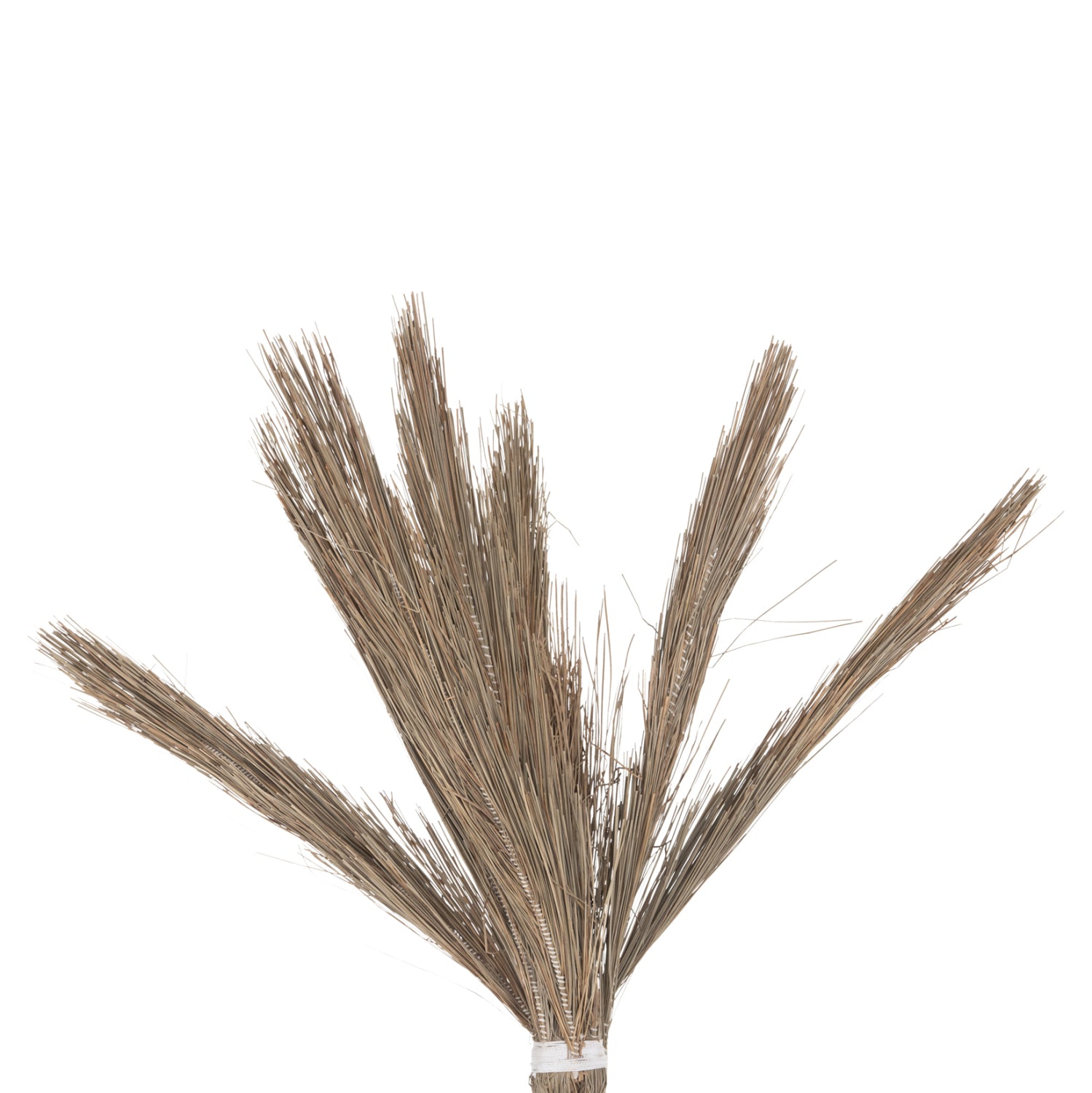 Декоративно тропическо дърво палма /мендонг трева 210 см