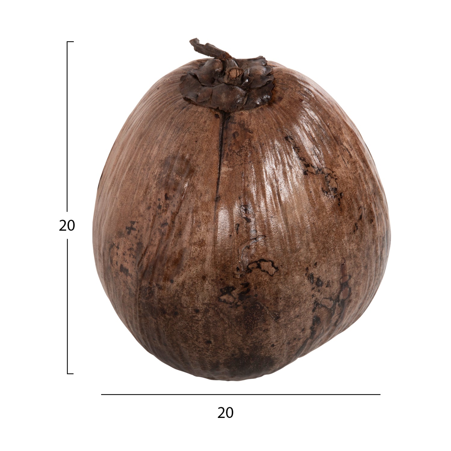 Декорация кокос за маса цвят натурал 20x20x20
