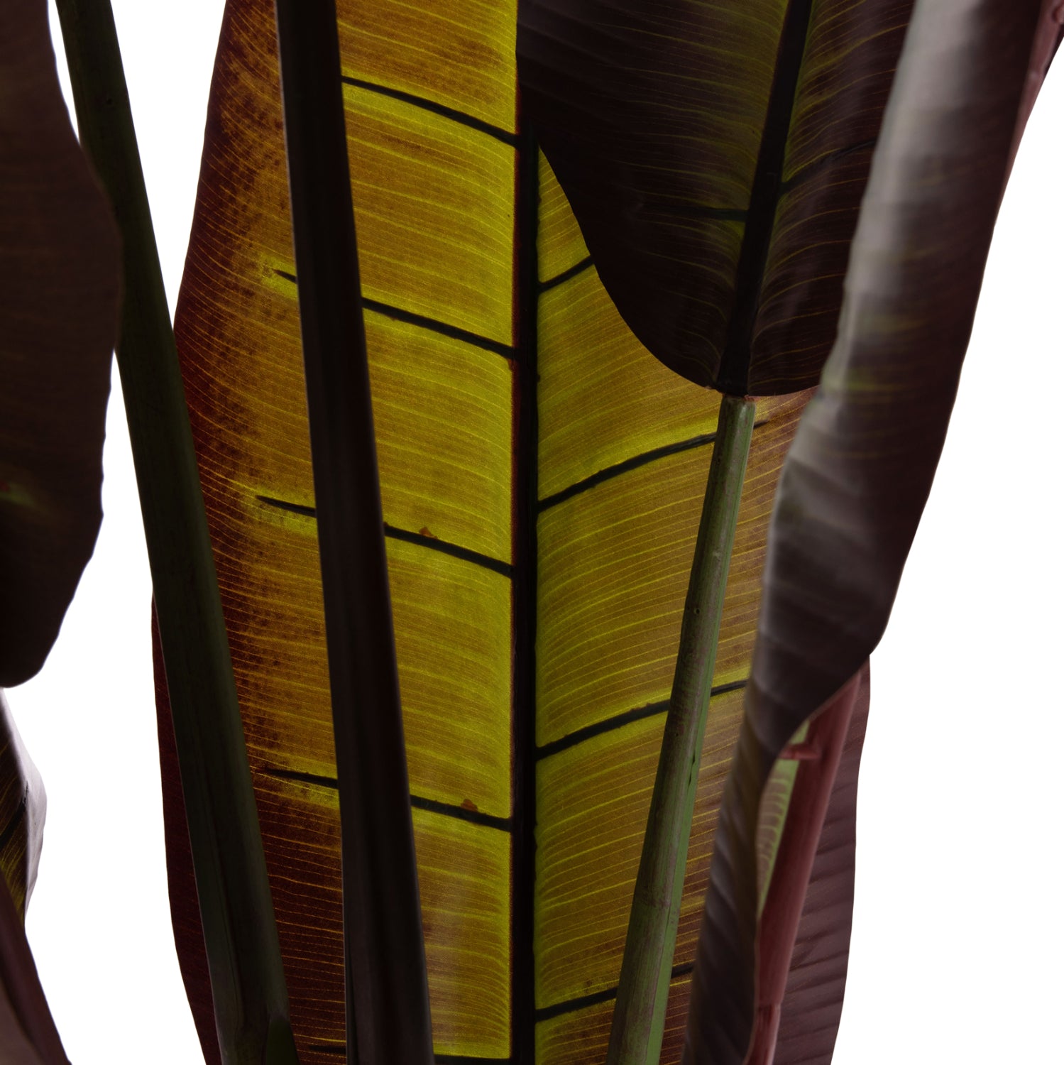 Декоративно синтетично растение японски банан в саксия 85х75х225см.