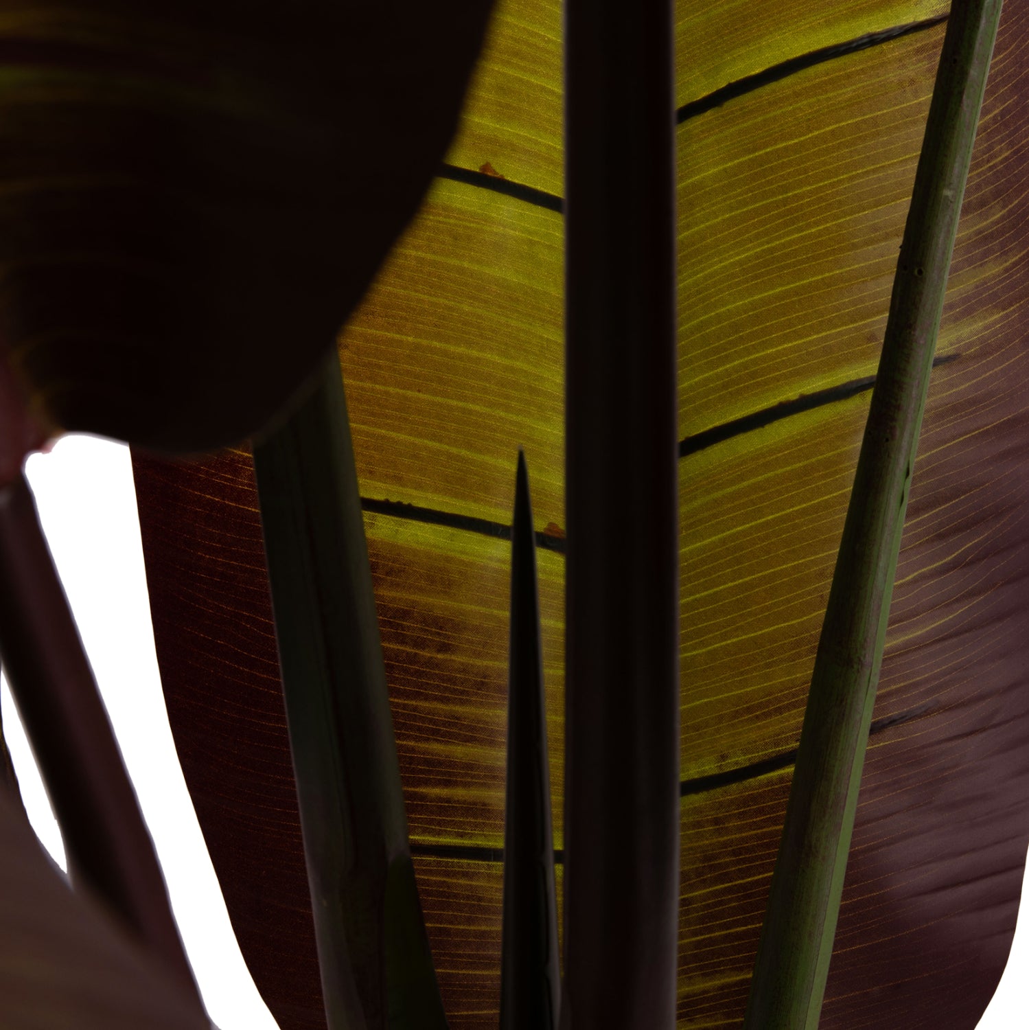 Декоративно синтетично растение японски банан в саксия 85х75х225см.