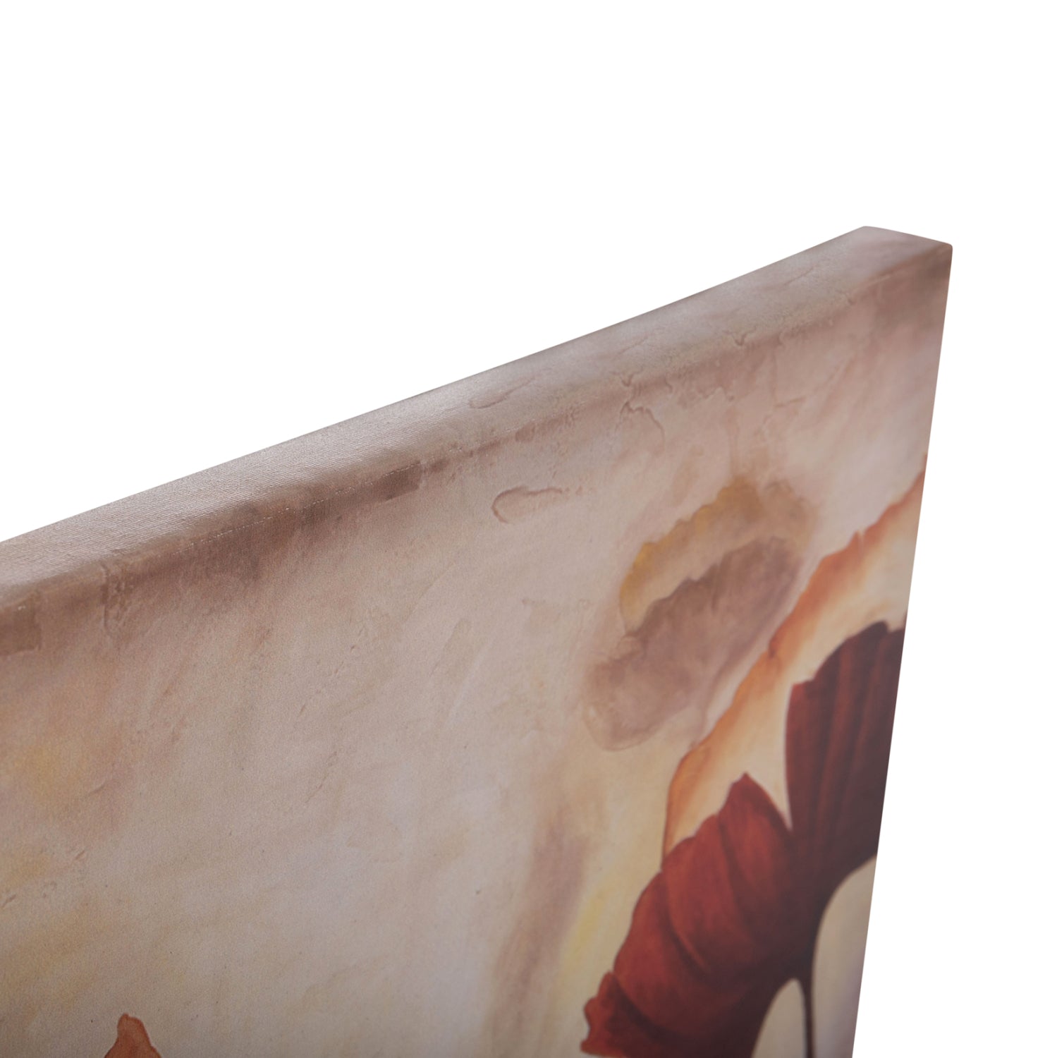 Стенна картина GOBI отпечатано платно 68x2.5(дебелина)x50cm.