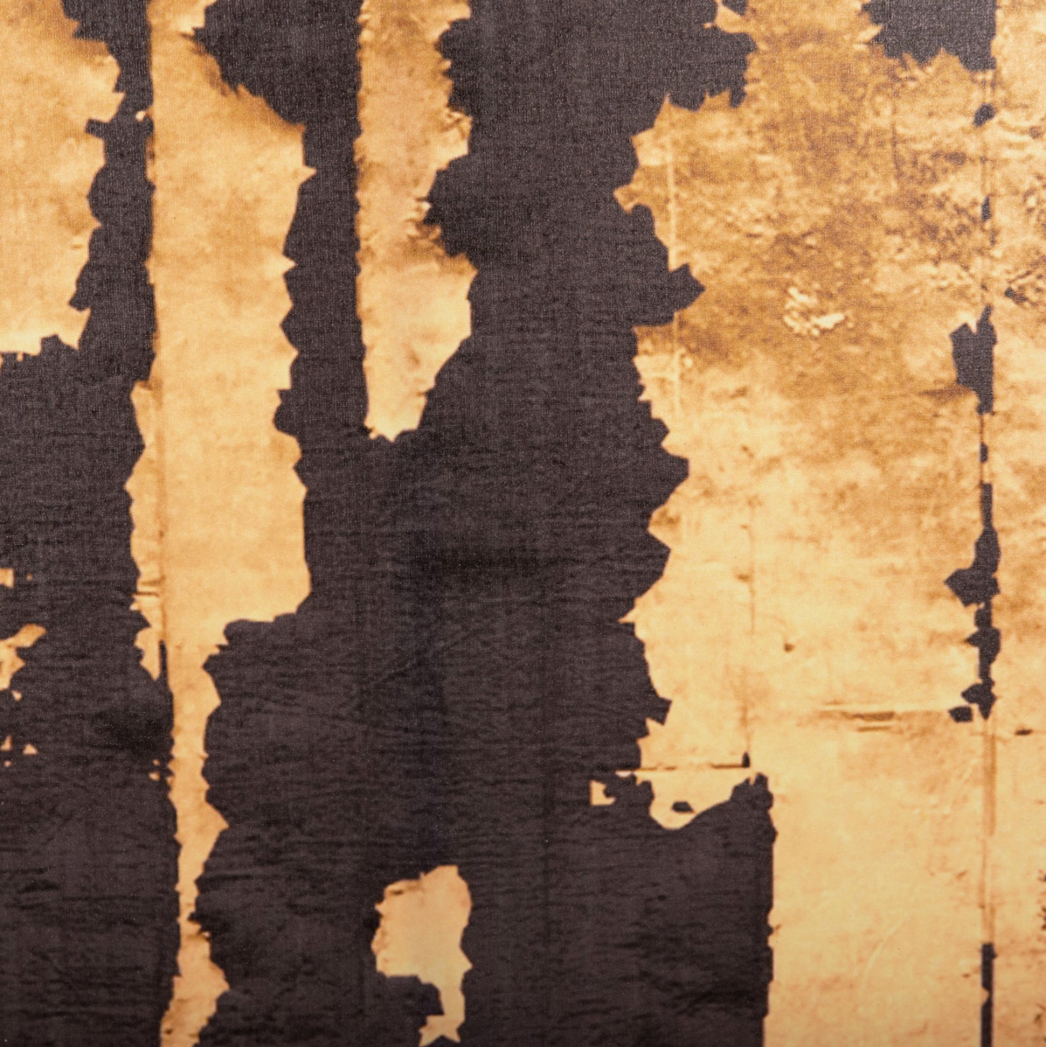 Стенна картина GOBIотпечатано платно 98x2.5(дебелина)x68cm.