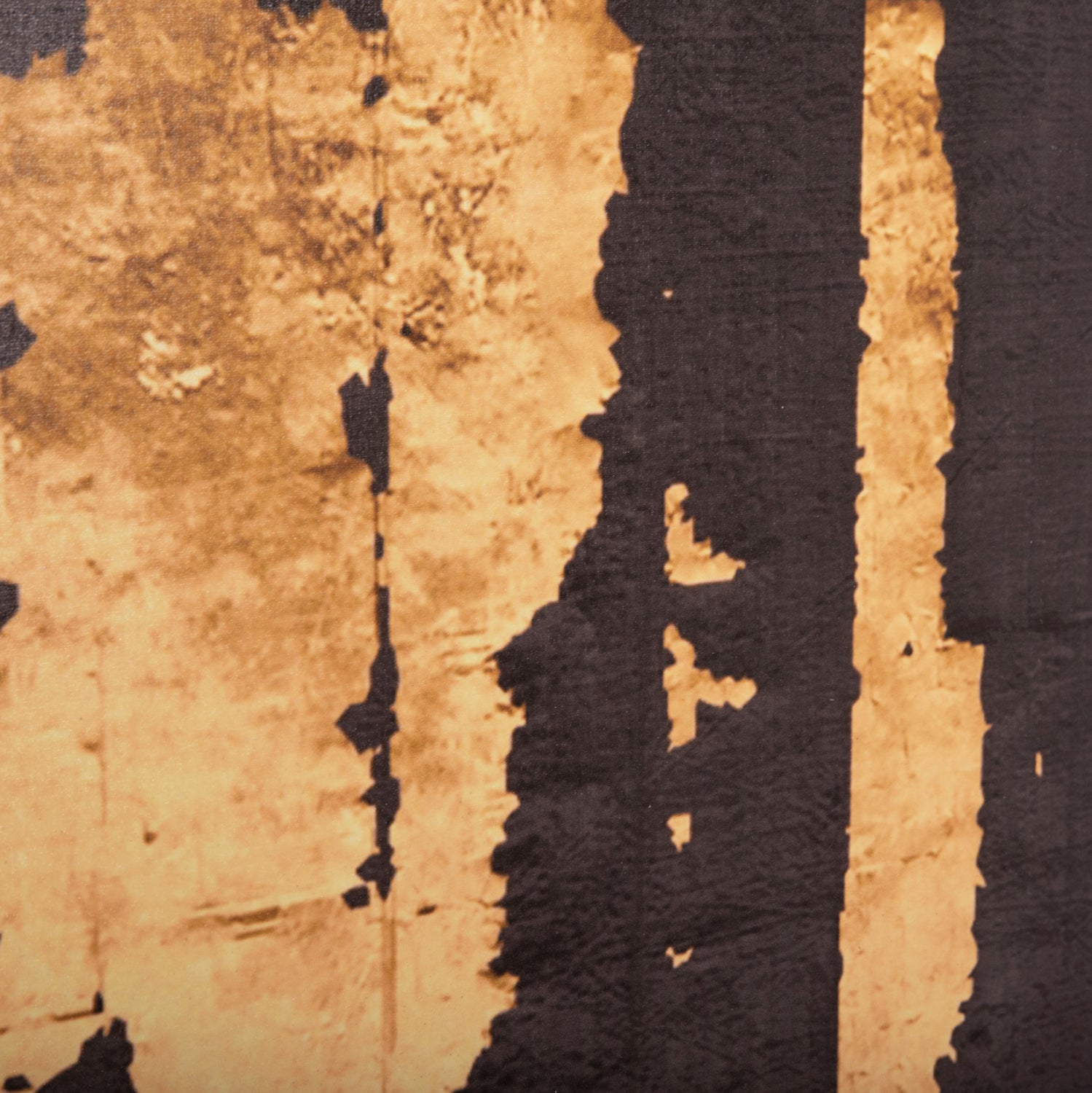 Стенна картина GOBIотпечатано платно 98x2.5(дебелина)x68cm.