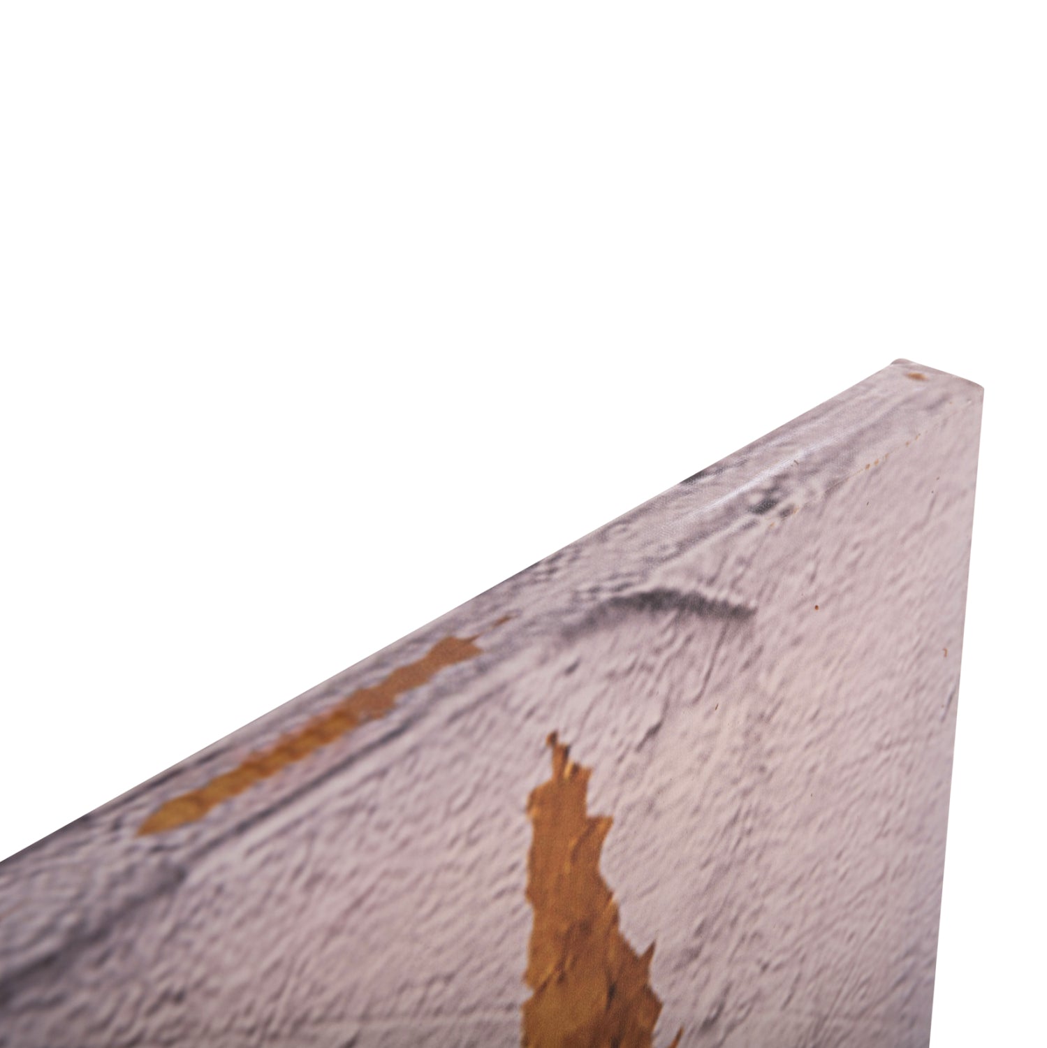 Стенна картина GOBI отпечатано платно 98x2.5(дебелина)x68cm.