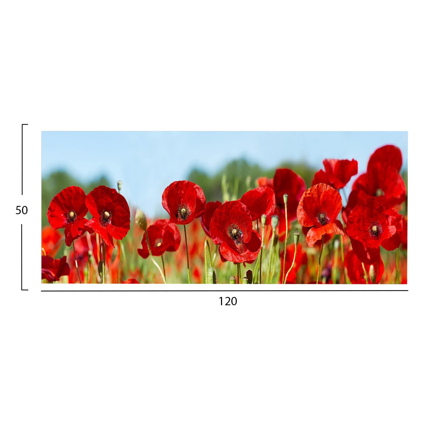 Стенна картина GOBI отпечатано платно 120x3(дебелина)x50cm.