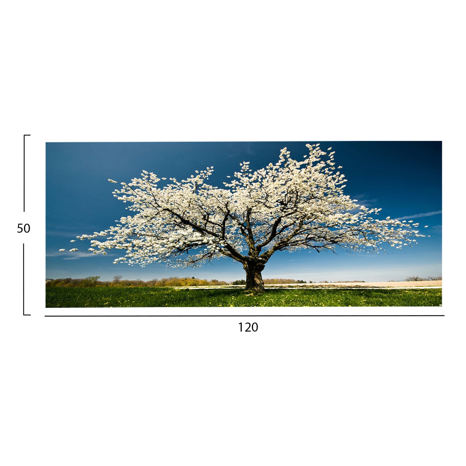 Стенна картина серия GOBI отпечатано платно 120x3(дебелина)x50cm.