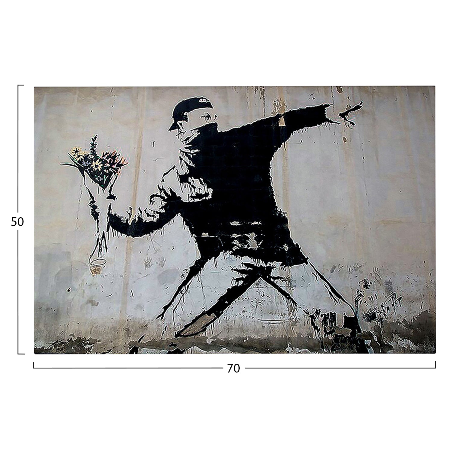 Стенна картина серия GOBI серия отпечатано платно 70x3(дебелина)x50ycm.