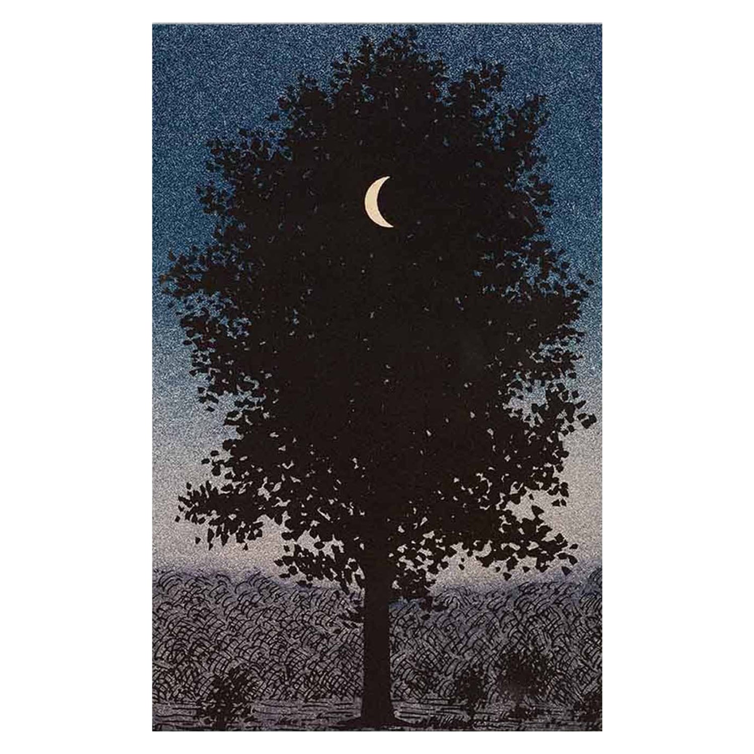 Toixoy боя гоби серия печатно платно 45x3(дебелина)x70ycm.