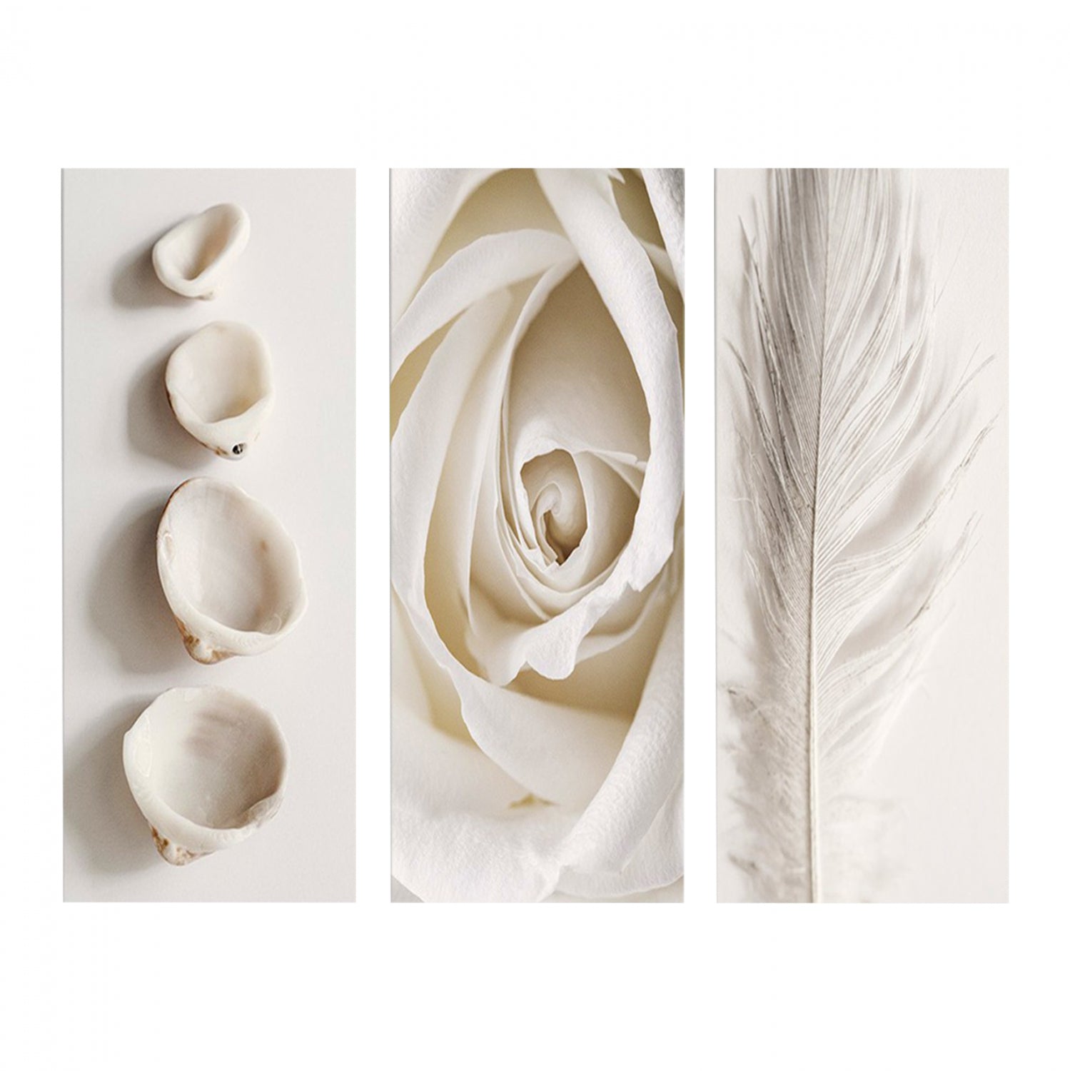 Декоративна картина Мдф натурални елементи 60х0,3х50см.