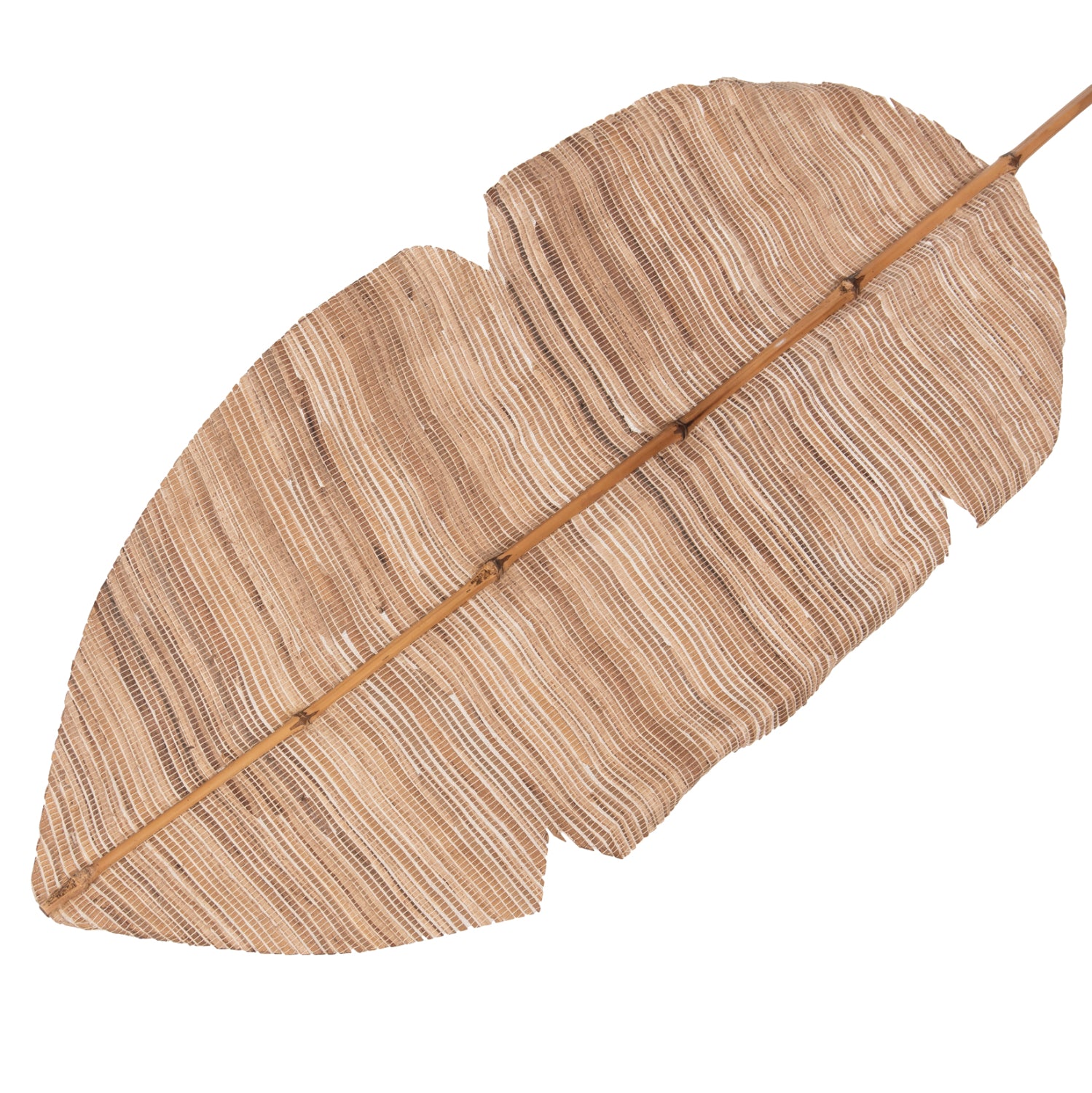 Декоративнолисто в естествен цвят 32x200x3 см