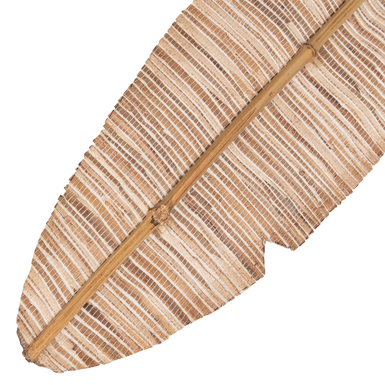 Декорация перо натурал 15x200x3