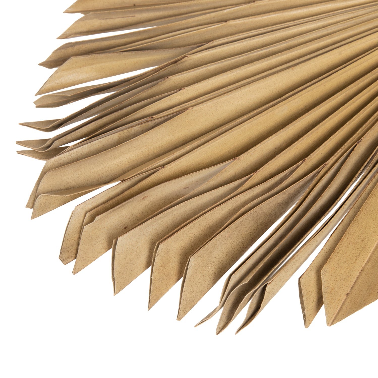 Декорация изсушен палмов лист натурал 30x102x3