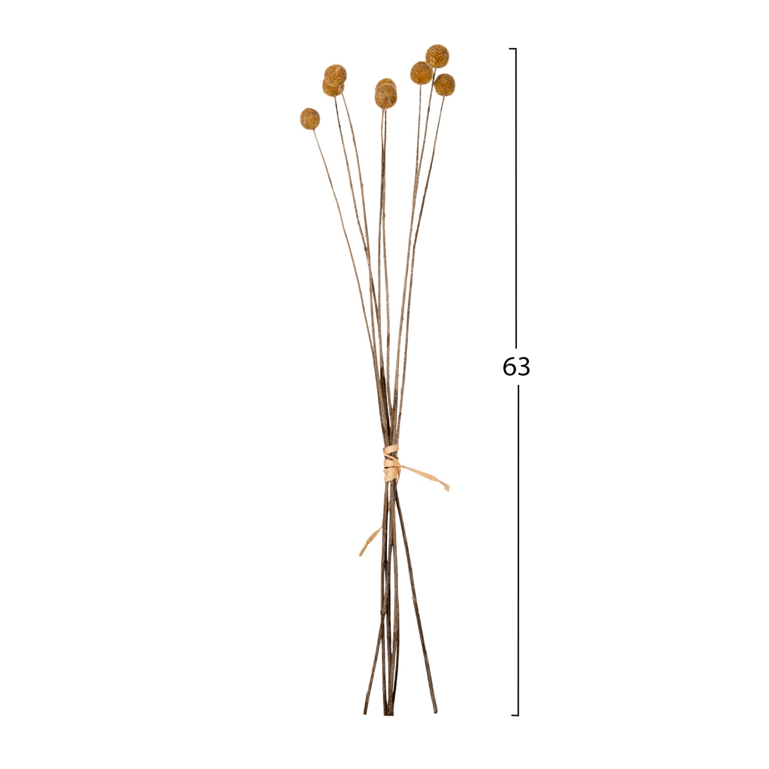 Декоративен букет CRASPEDIA жълта 63см