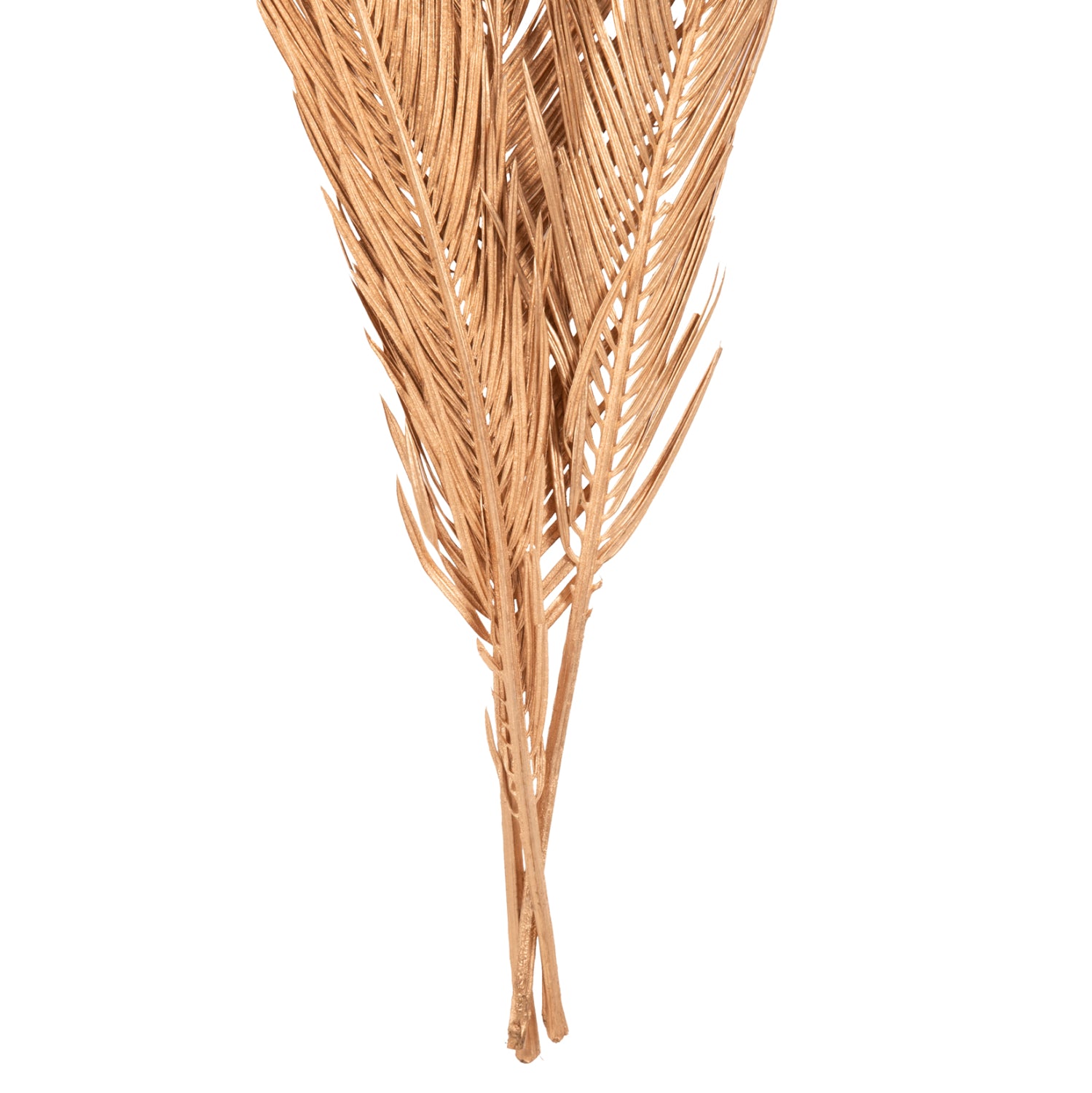 Декоративни листа комлект от 3бр натурал 110см