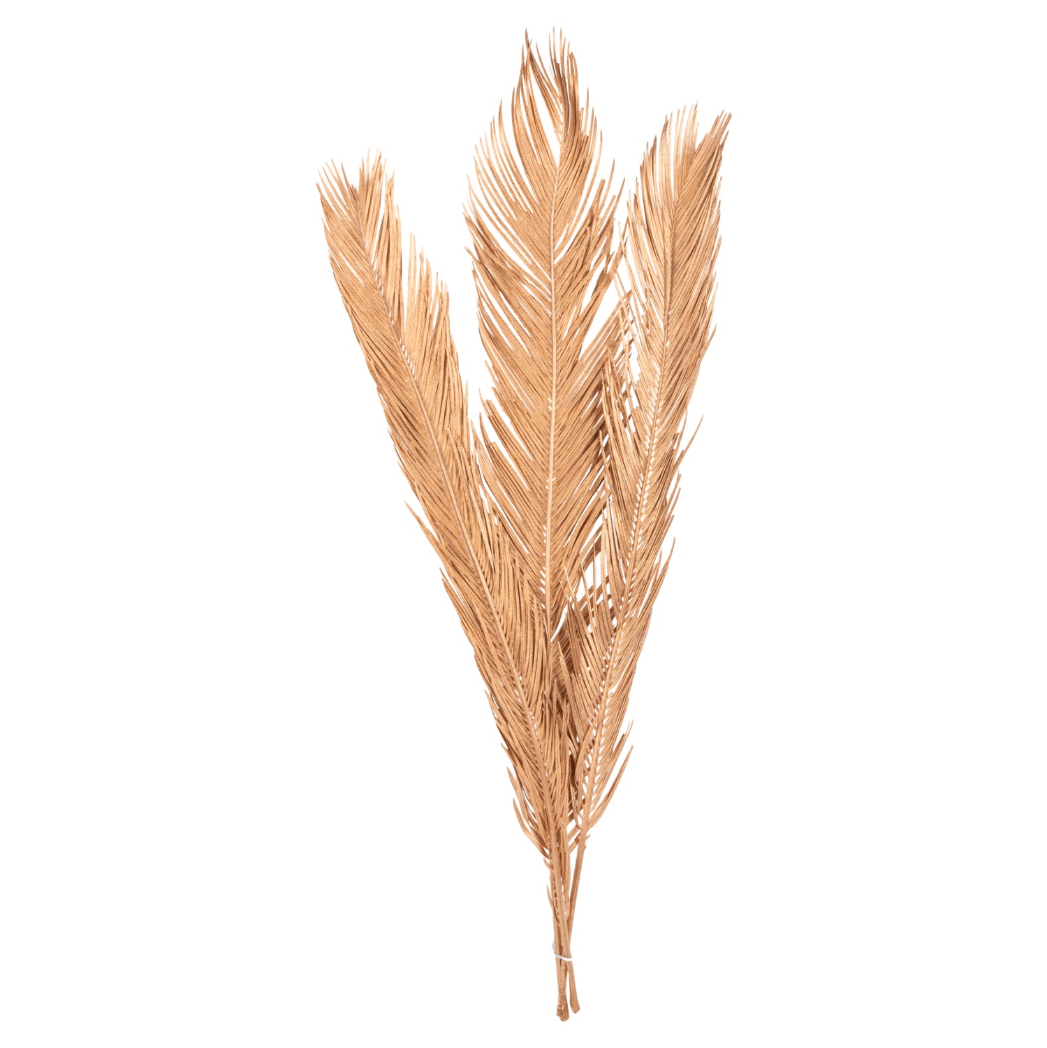 Декоративни листа комлект от 3бр натурал 110см