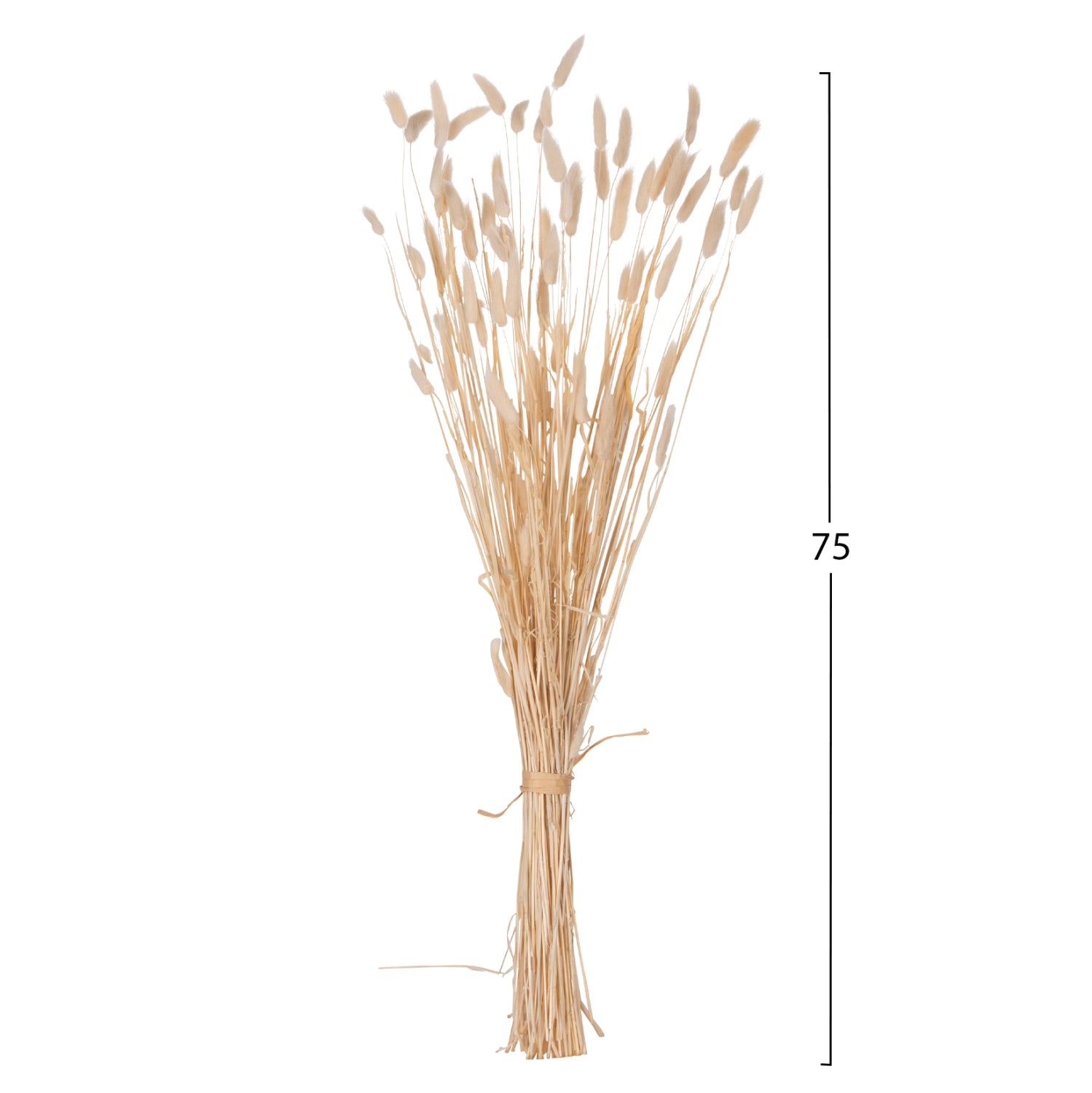 Декоративен букет заешка опашка цвят натурал 76см