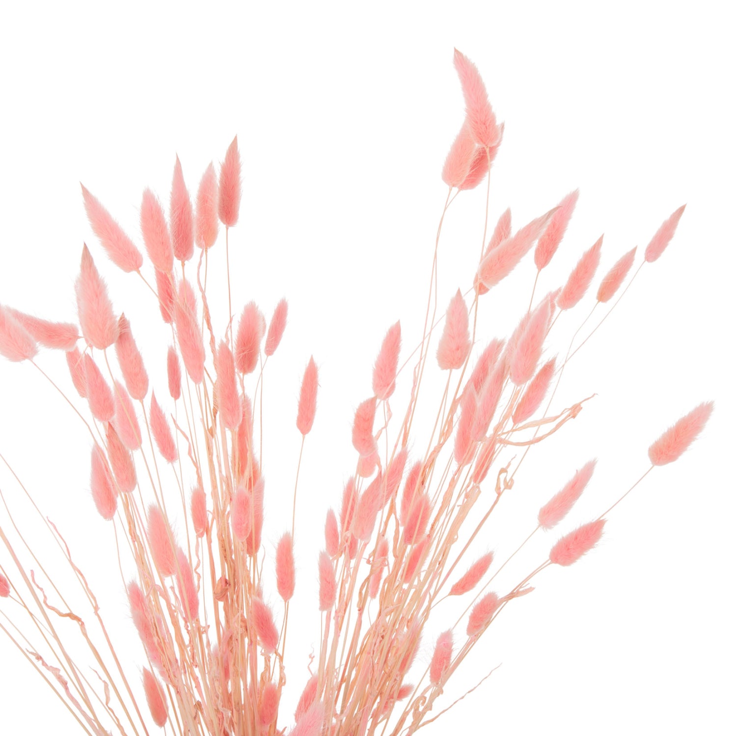 Декоративен букет заешка опашка розов цвят 75см