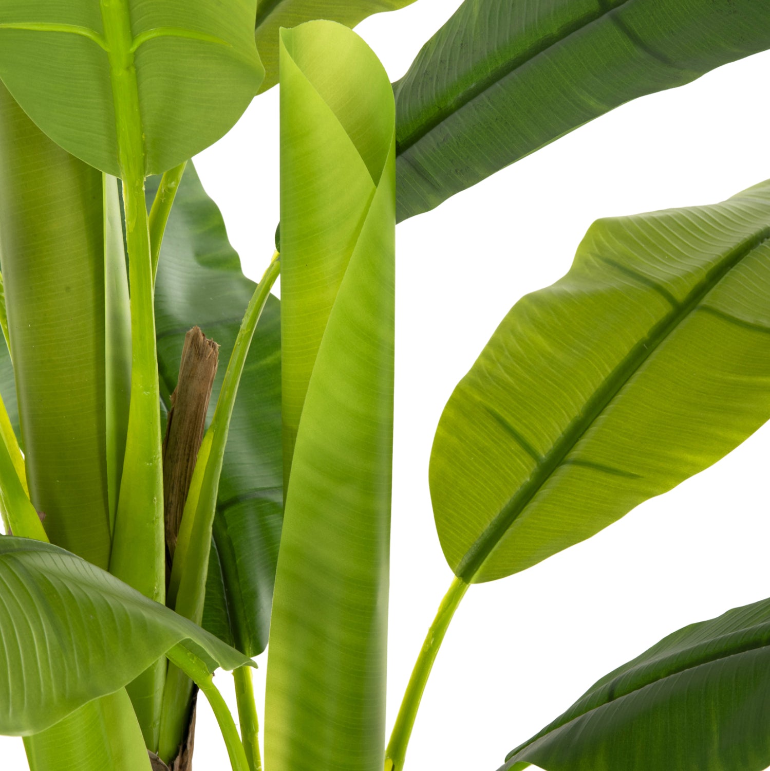 Растение бананово дърво 123см