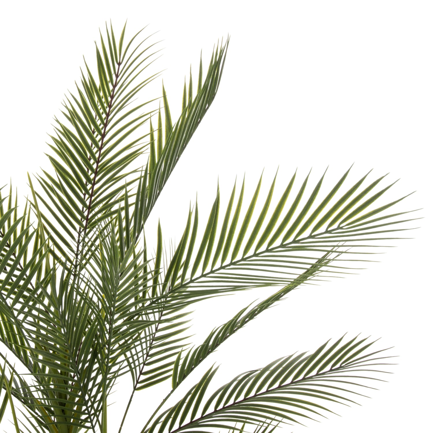 Саксийно изкуствено растение 7970 зелен цвят Φ17x14,5-155см