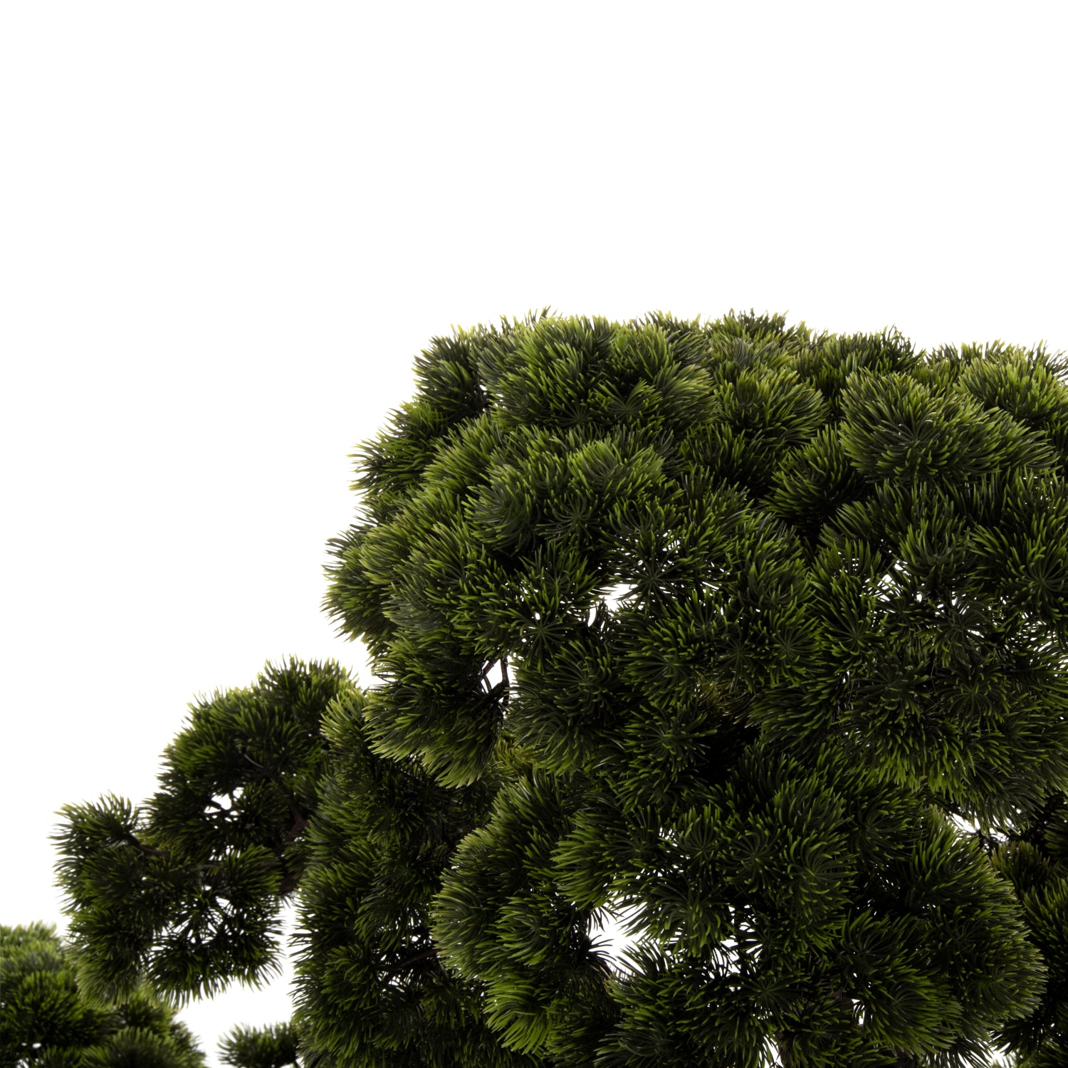 Растение бонсай зелен цвят 55x130x114