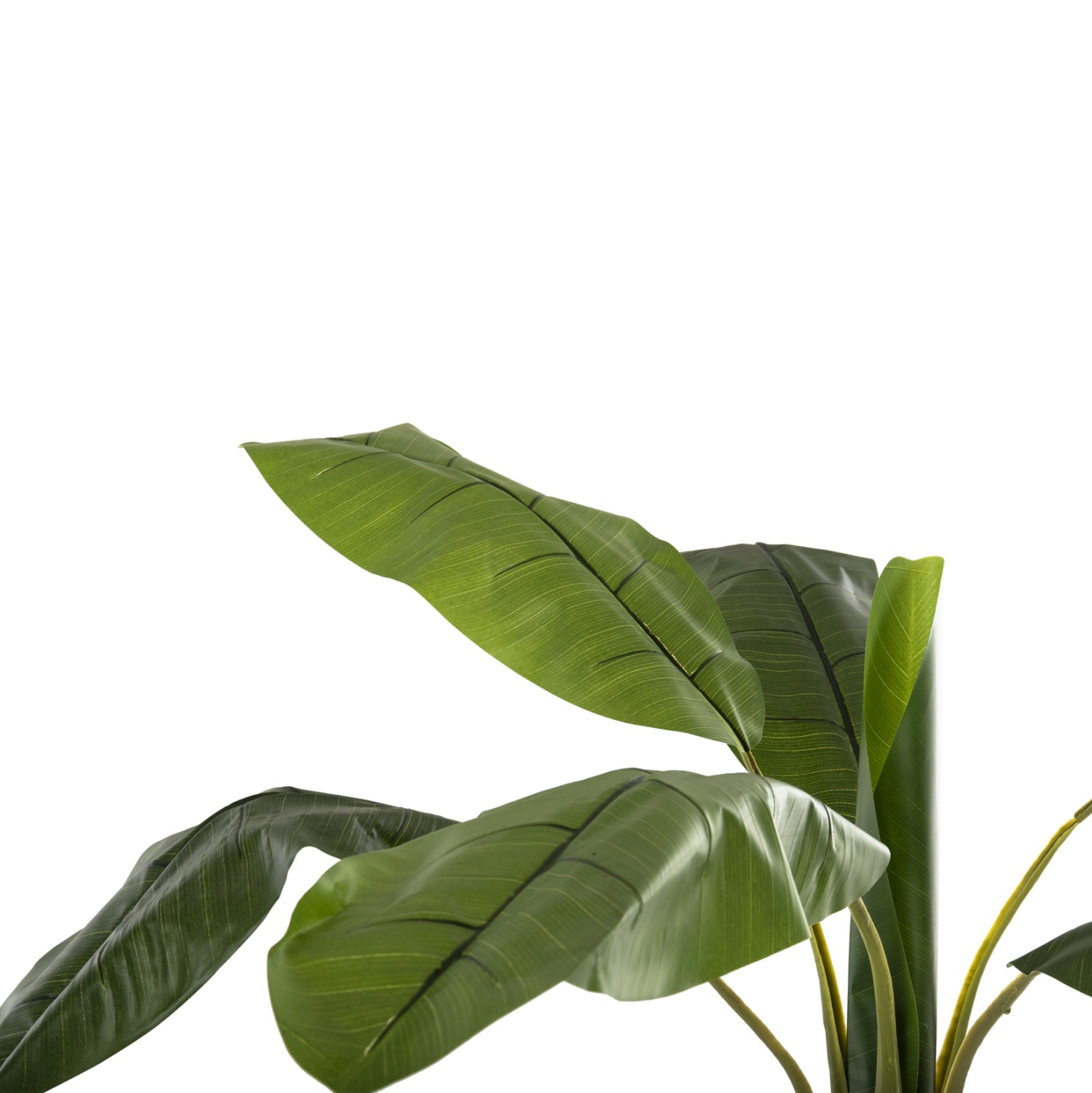 Саксийно изкуствено растение 7979 зелен-естествен цвят 180см