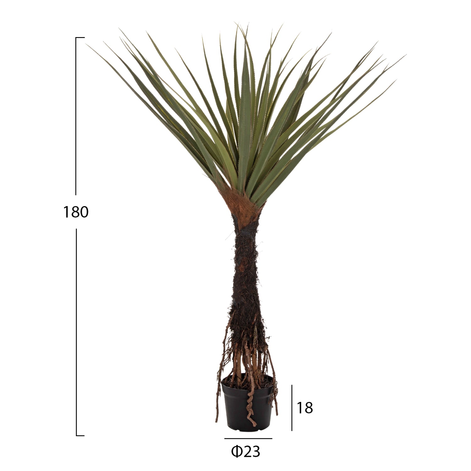 Растение сизалово дърво в саксия зелен цвят Φ23x18-180см