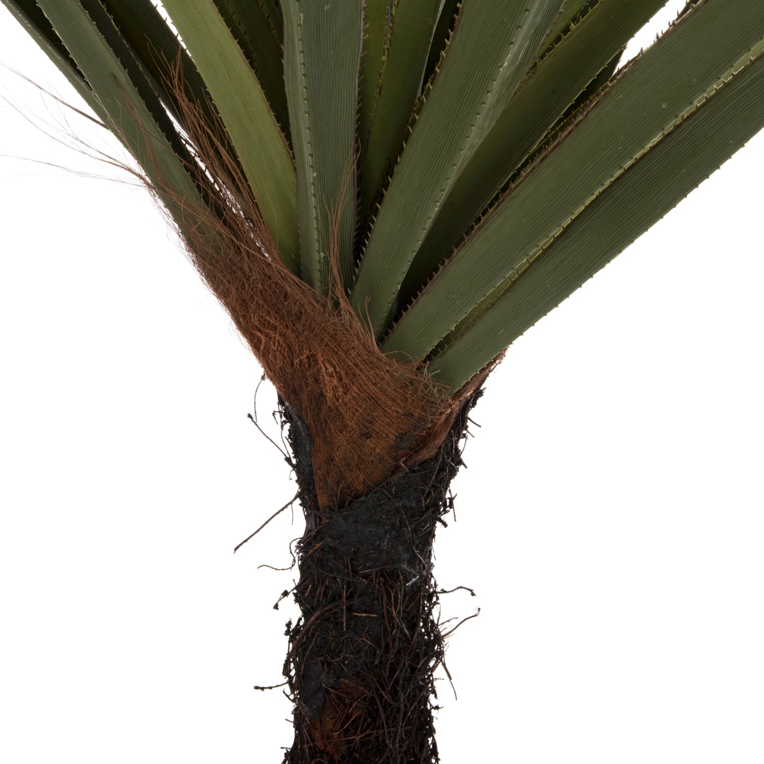 Растение сизалово дърво в саксия зелен цвят Φ23x18-180см