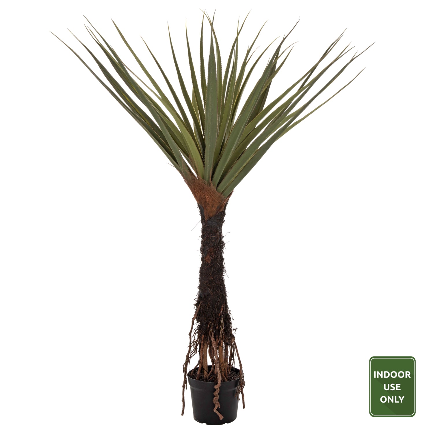 Растение сизалово дърво в саксия зелен цвят Φ23x18-180см