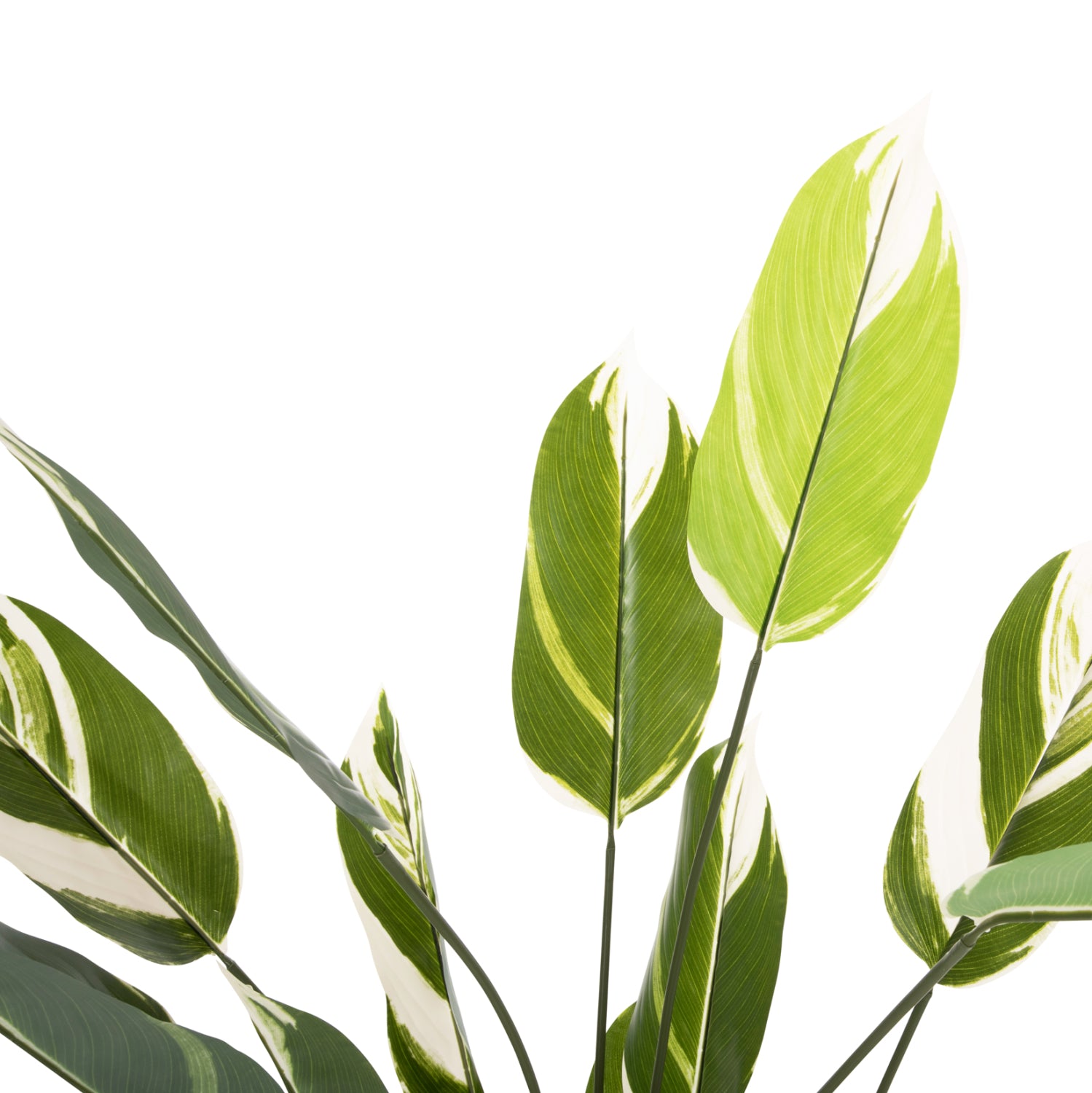 Саксийно изкуствено растение галатея в саксия 7997 зелен цвят 140см