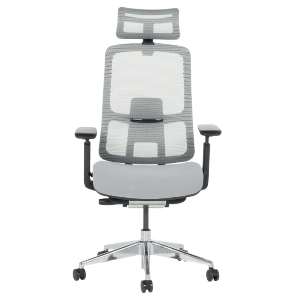 Ергономичен стол SALTO - сив