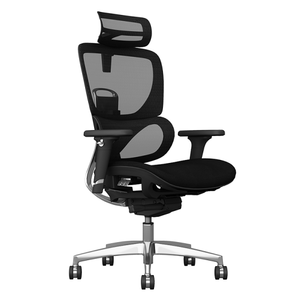 Ергономичен стол GANDER - черен