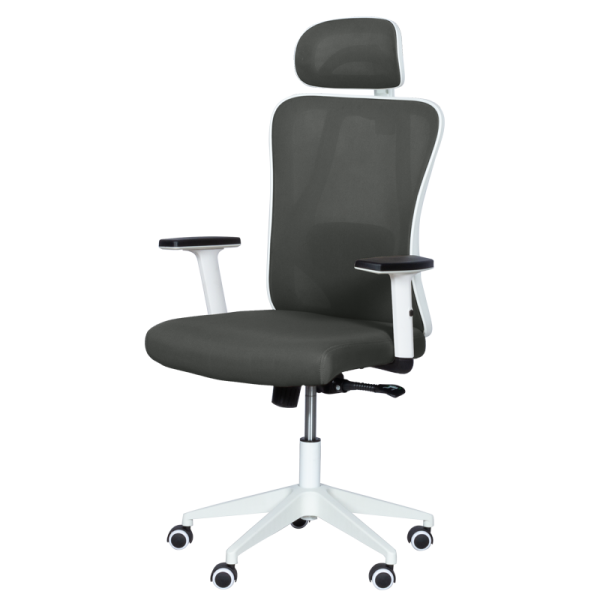 Ергономичен стол Carmen 7588 - графит