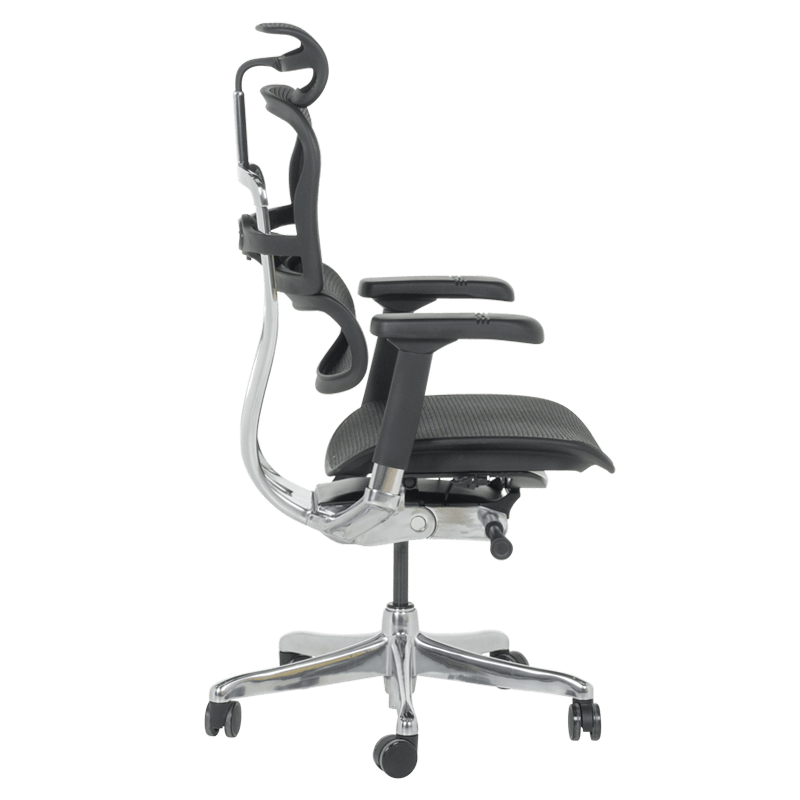 Ергономичен стол ERGOHUMAN ELITE 2 - черна рамка - черен