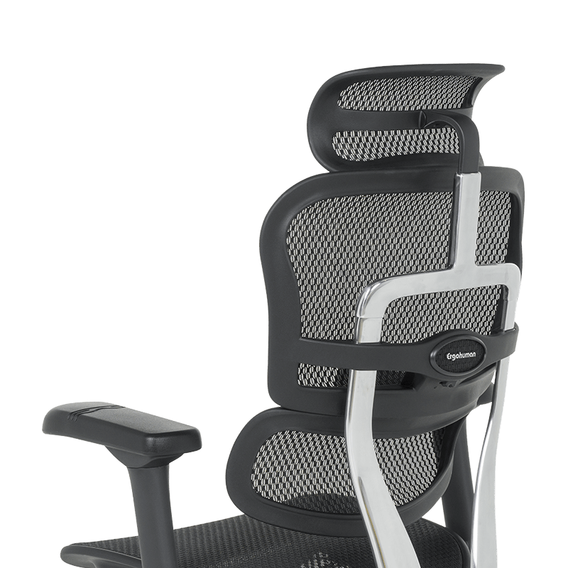 Ергономичен стол ERGOHUMAN ELITE 2 - черна рамка - черен