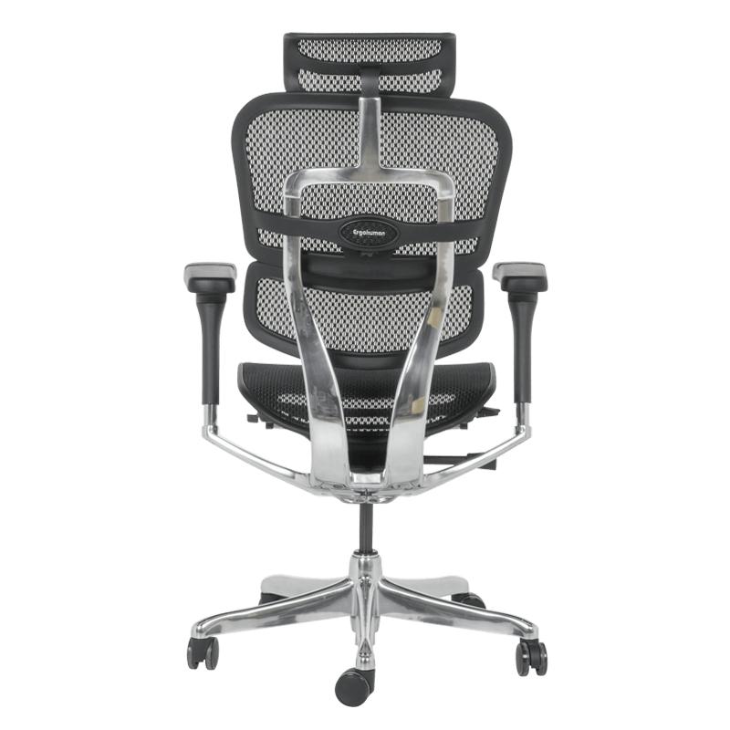 Ергономичен стол ERGOHUMAN ELITE 2 - черна рамка - черен