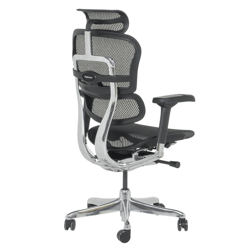 Ергономичен стол ERGOHUMAN ELITE 2 - черна рамка - черен