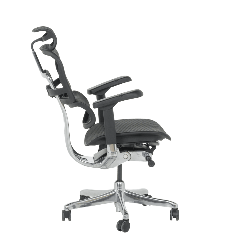 Ергономичен стол ERGOHUMAN ELITE 2 - черна рамка - черен